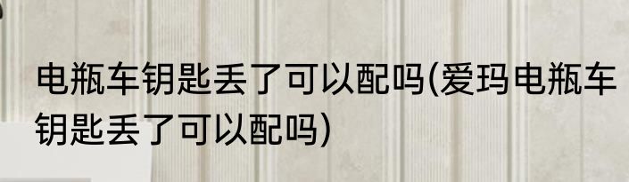 电瓶车钥匙丢了可以配吗(爱玛电瓶车钥匙丢了可以配吗)