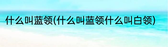 什么叫蓝领(什么叫蓝领什么叫白领)