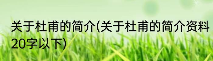 关于杜甫的简介(关于杜甫的简介资料20字以下)