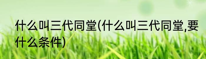 什么叫三代同堂(什么叫三代同堂,要什么条件)