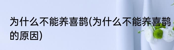 为什么不能养喜鹊(为什么不能养喜鹊的原因)
