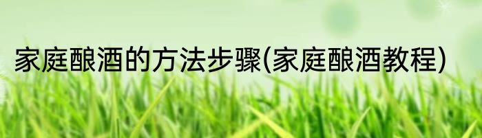 家庭酿酒的方法步骤(家庭酿酒教程)