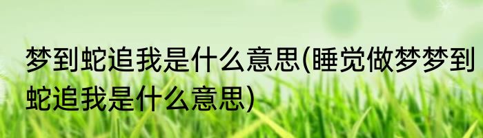 梦到蛇追我是什么意思(睡觉做梦梦到蛇追我是什么意思)