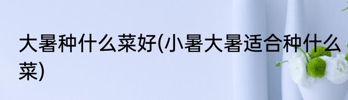 大暑种什么菜好(小暑大暑适合种什么菜)