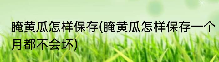 腌黄瓜怎样保存(腌黄瓜怎样保存一个月都不会坏)