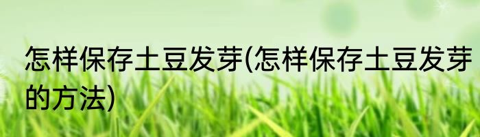 怎样保存土豆发芽(怎样保存土豆发芽的方法)