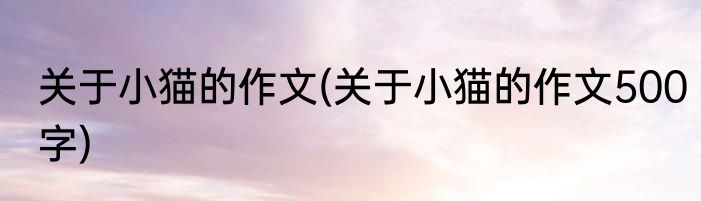 关于小猫的作文(关于小猫的作文500字)