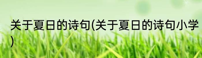关于夏日的诗句(关于夏日的诗句小学)