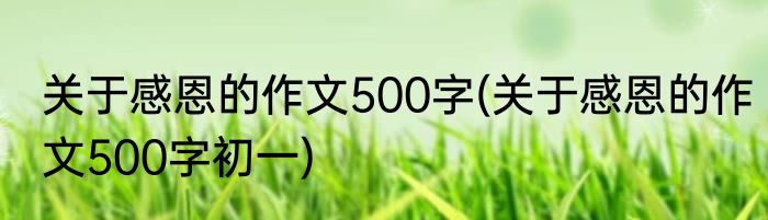 关于感恩的作文500字(关于感恩的作文500字初一)