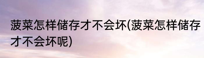 菠菜怎样储存才不会坏(菠菜怎样储存才不会坏呢)