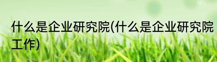 什么是企业研究院(什么是企业研究院工作)