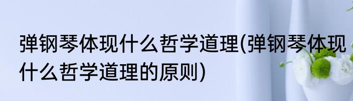 弹钢琴体现什么哲学道理(弹钢琴体现什么哲学道理的原则)