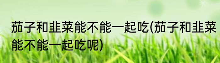 茄子和韭菜能不能一起吃(茄子和韭菜能不能一起吃呢)