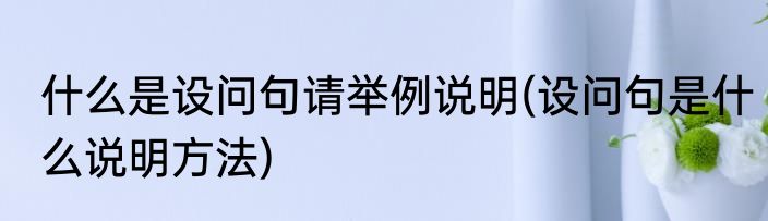 什么是设问句请举例说明(设问句是什么说明方法)