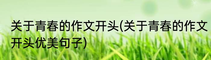 关于青春的作文开头(关于青春的作文开头优美句子)