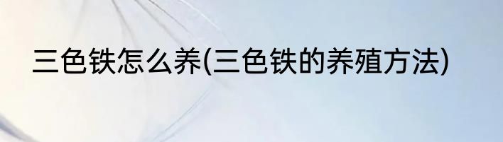 三色铁怎么养(三色铁的养殖方法)