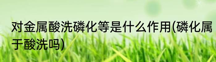 对金属酸洗磷化等是什么作用(磷化属于酸洗吗)