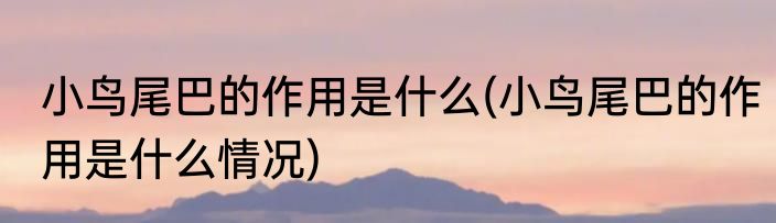 小鸟尾巴的作用是什么(小鸟尾巴的作用是什么情况)