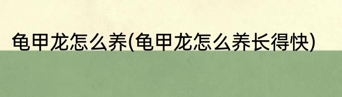 龟甲龙怎么养(龟甲龙怎么养长得快)