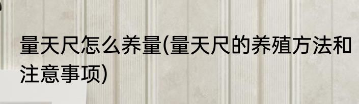 量天尺怎么养量(量天尺的养殖方法和注意事项)