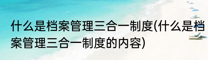 什么是档案管理三合一制度(什么是档案管理三合一制度的内容)