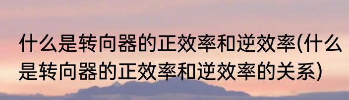 什么是转向器的正效率和逆效率(什么是转向器的正效率和逆效率的关系)