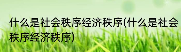 什么是社会秩序经济秩序(什么是社会秩序经济秩序)