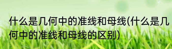 什么是几何中的准线和母线(什么是几何中的准线和母线的区别)