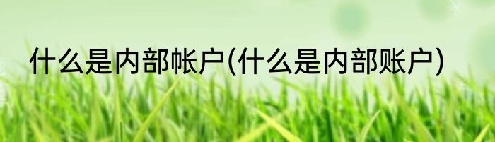 什么是内部帐户(什么是内部账户)