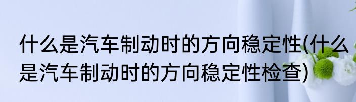 什么是汽车制动时的方向稳定性(什么是汽车制动时的方向稳定性检查)