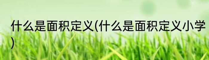 什么是面积定义(什么是面积定义小学)