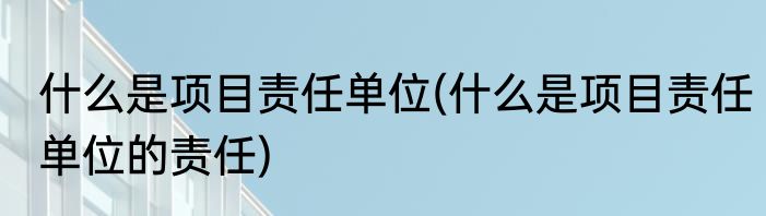 什么是项目责任单位(什么是项目责任单位的责任)