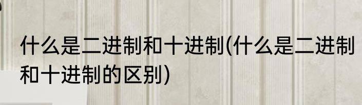 什么是二进制和十进制(什么是二进制和十进制的区别)