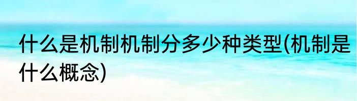 什么是机制机制分多少种类型(机制是什么概念)