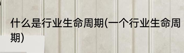 什么是行业生命周期(一个行业生命周期)