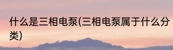 什么是三相电泵(三相电泵属于什么分类)