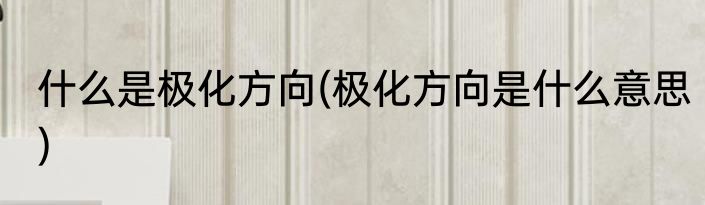 什么是极化方向(极化方向是什么意思)