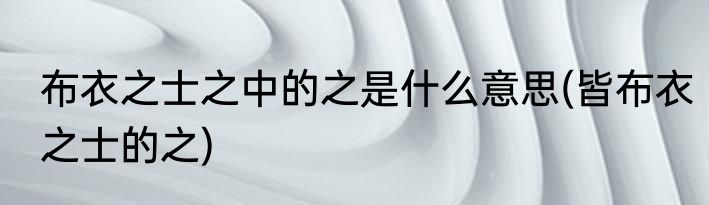 布衣之士之中的之是什么意思(皆布衣之士的之)