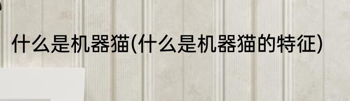 什么是机器猫(什么是机器猫的特征)