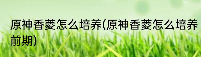 原神香菱怎么培养(原神香菱怎么培养前期)