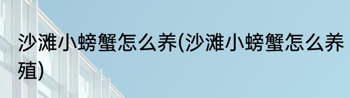 沙滩小螃蟹怎么养(沙滩小螃蟹怎么养殖)