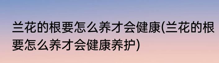 兰花的根要怎么养才会健康(兰花的根要怎么养才会健康养护)