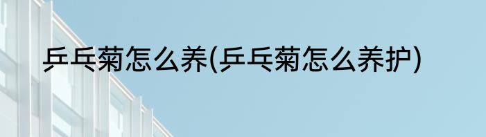 乒乓菊怎么养(乒乓菊怎么养护)