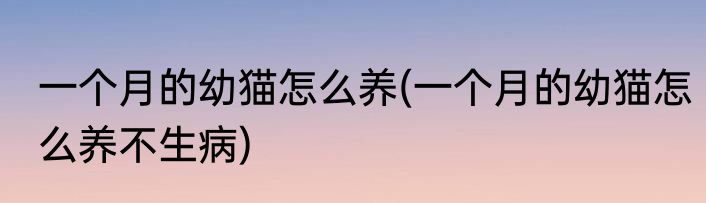 一个月的幼猫怎么养(一个月的幼猫怎么养不生病)