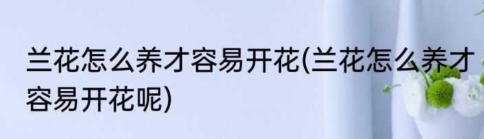 兰花怎么养才容易开花(兰花怎么养才容易开花呢)
