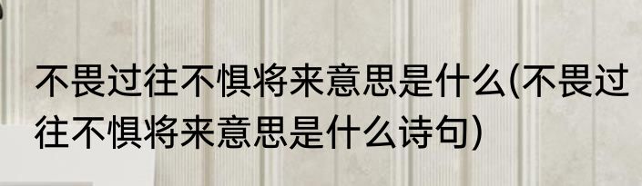 不畏过往不惧将来意思是什么(不畏过往不惧将来意思是什么诗句)