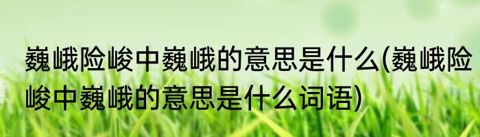 巍峨险峻中巍峨的意思是什么(巍峨险峻中巍峨的意思是什么词语)