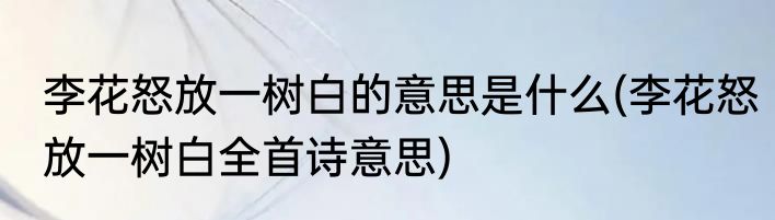 李花怒放一树白的意思是什么(李花怒放一树白全首诗意思)