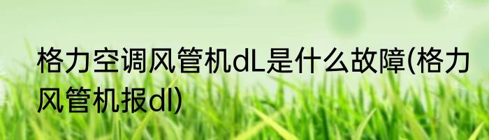 格力空调风管机dL是什么故障(格力风管机报dl)