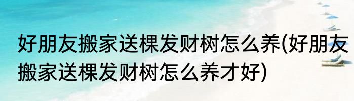 好朋友搬家送棵发财树怎么养(好朋友搬家送棵发财树怎么养才好)